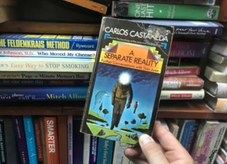 Luminous Beings: My Lunch with Carlos Castaneda (and Kylie) Paperback book cover of A Separate Reality by Carlos Castaneda